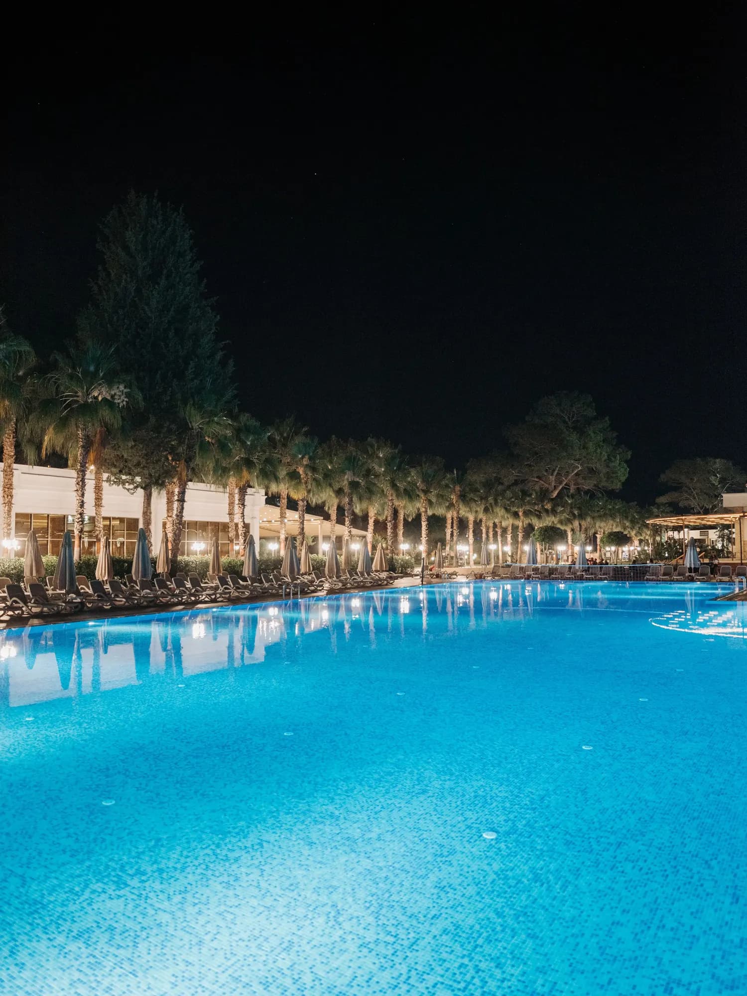 Temporary concept image of poolside palms and water lit softly after dark; not property photography.