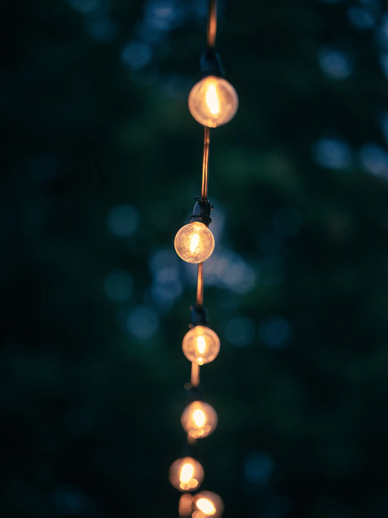 Temporary concept image of warm festoon bulbs glowing against dusk; not property photography.